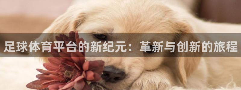 足球体育平台的新纪元：革新与创新的旅程