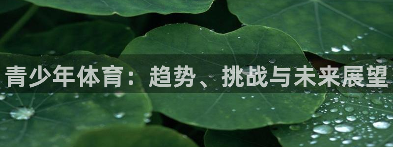 青少年体育：趋势、挑战与未来展望