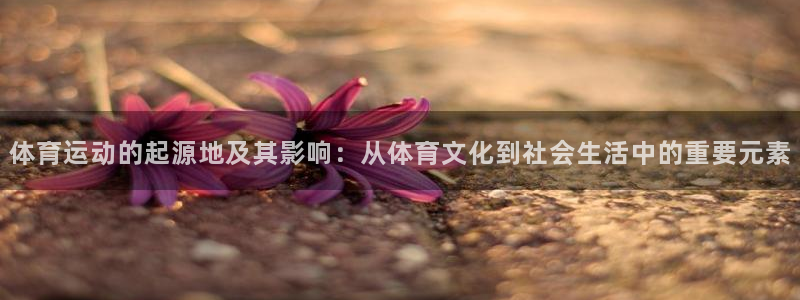 体育运动的起源地及其影响：从体育文化到社会生活中的重要元素