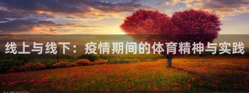 线上与线下：疫情期间的体育精神与实践