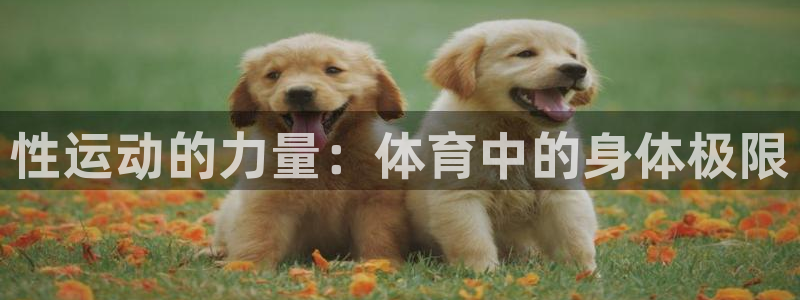 性运动的力量：体育中的身体极限