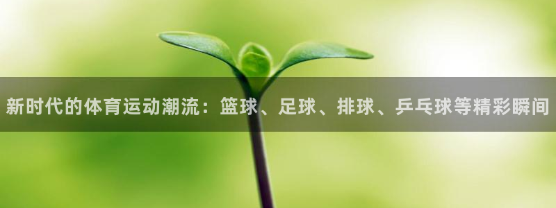 新时代的体育运动潮流：篮球、足球、排球、乒乓球等精彩瞬间