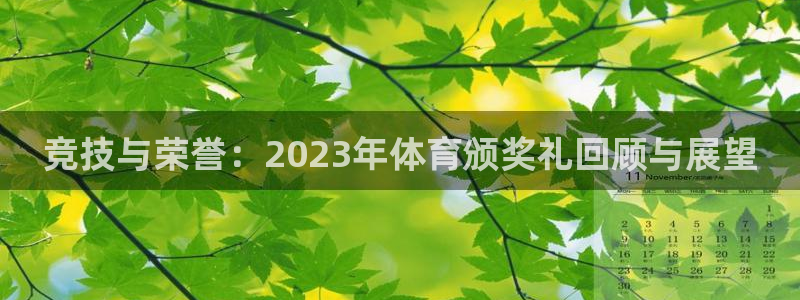 竞技与荣誉：2023年体育颁奖礼回顾与展望