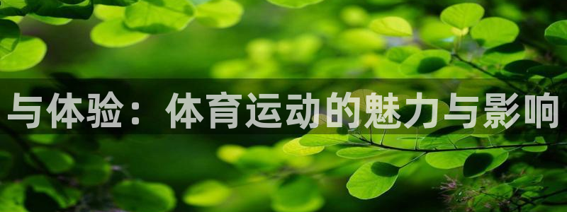 与体验：体育运动的魅力与影响