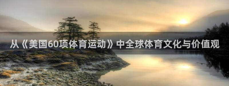 从《美国60项体育运动》中全球体育文化与价值观