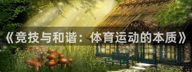 《竞技与和谐：体育运动的本质》